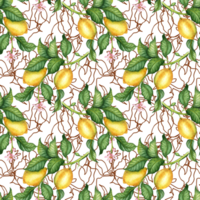 Watercolor illustration of a pattern of yellow lemons with green leaves, flowers and brown outlines. Isolated Composition for weddings, posters, cards, banners, flyers, covers, placards png