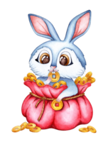 acuarela ilustración de un azul Conejo en un rojo bolso con oro monedas día festivo, celebracion, nuevo año. ideal para camisetas, tarjetas, huellas dactilares. aislado. dibujado por mano. png