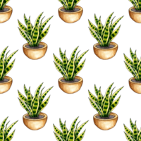 Watercolor illustration of a pattern of herbs in a pot. It's perfect for postcards, posters, banners, invitations, greeting cards, prints. Isolated. drawn by hand. png