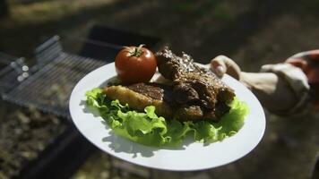 Close-up of plate with barbecue meat and vegetables. Stock footage. Bright food on plate with grilled meat and vegetables on sunny summer day. Woman holds plate with barbecue in nature on summer day photo