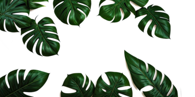 AI generated Template design tropical green leaves on transparent background. Generative AI. png