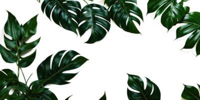 AI generated Template design tropical green leaves on transparent background. Generative AI. png