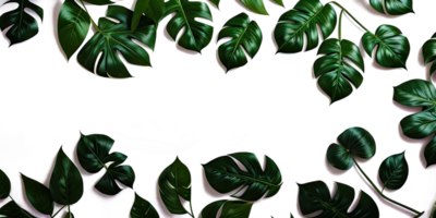 ai généré modèle conception tropical vert feuilles sur transparent Contexte. génératif ai. png