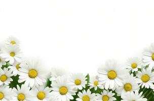 AI generated a white background covered in daisies photo