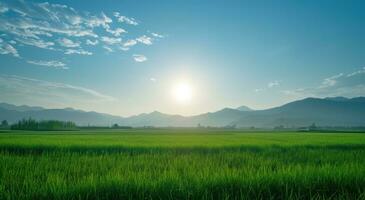 AI generated the sun is shining on a green field photo