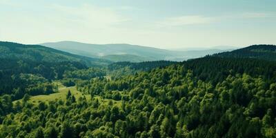 AI generated aerial shot of the forest with hills photo