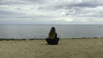 posterior ver de largo peludo niña mirando a Gaviotas concepto. espalda de joven mujer sentado en el arenoso apuntalar de lago, estanque o río, acecho salvaje aves volador en el cielo en frío Ventoso día. foto