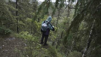 Male hiker with travel rucksack standing on the edge of high mountain during summer trek. Stock footage. Male explower standing on hill nd looking at tree tops. photo