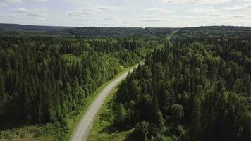 Aerial view of white car driving on country road in forest. Aerial view flying over old patched two lane forest road with car moving green trees of dense woods growing both sides. Car driving along photo