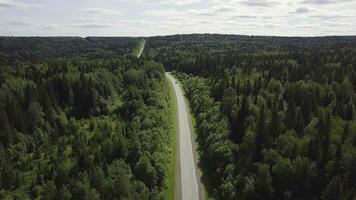 Aerial view of white car driving on country road in forest. Aerial view flying over old patched two lane forest road with car moving green trees of dense woods growing both sides. Car driving along photo