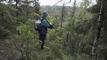 Male hiker with travel rucksack standing on the edge of high mountain during summer trek. Stock footage. Male explower standing on hill nd looking at tree tops. photo