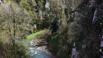 Aerial view flying over a creek, stream winding through a forest Late afternoon, close to sunset with lens flare. Clip. Aerial beautiful mountain stream, river surrounded by green trees with crystal photo