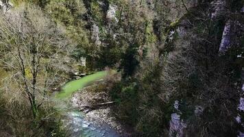 aéreo ver volador terminado un arroyo, corriente devanado mediante un bosque tarde tarde, cerca a puesta de sol con lente llamarada. acortar. aéreo hermosa montaña arroyo, río rodeado por verde arboles con cristal foto