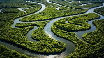 ai generado generativo ai, aéreo ver de laberinto vías fluviales, zumbido foto, hermosa paisaje foto