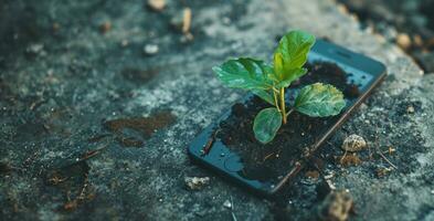AI generated Generative AI, Plant growing from the smartphone screen. Ecology and environment concept photo