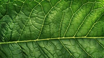 AI generated Generative AI, macro texture of green leaf veins, green foliage texture, ecology background photo