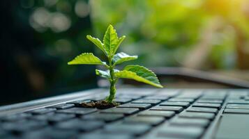 AI generated Generative AI, Plant growing from the laptop keyboard. Ecology and environment concept photo