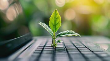 ai generado generativo ai, planta creciente desde el ordenador portátil teclado. ecología y ambiente concepto foto