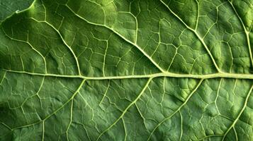 AI generated Generative AI, macro texture of green leaf veins, green foliage texture, ecology background photo