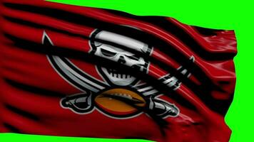 Tampa Bay Buccaneers Football Flag video