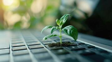 AI generated Generative AI, Plant growing from the laptop keyboard. Ecology and environment concept photo