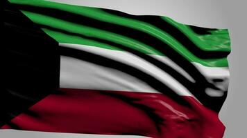 flagge von kuwait video