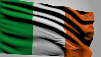 Irlands flagga video
