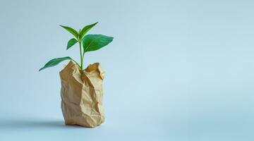 ai generado generativo ai, planta brote con verde hojas creciente desde reciclado papel. ecológico, cero desperdiciar, el plastico gratis y ambiente concepto foto