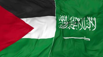 Palestine and KSA, Kingdom of Saudi Arabia Flags Together Seamless Looping Background, Looped Bump Texture Cloth Waving Slow Motion, 3D Rendering video