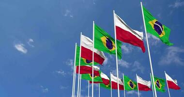 Poland and Brazil Flags Waving Together in the Sky, Seamless Loop in Wind, Space on Left Side for Design or Information, 3D Rendering video