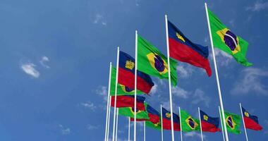 Liechtenstein and Brazil Flags Waving Together in the Sky, Seamless Loop in Wind, Space on Left Side for Design or Information, 3D Rendering video