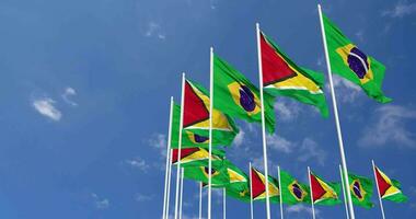 Guyana and Brazil Flags Waving Together in the Sky, Seamless Loop in Wind, Space on Left Side for Design or Information, 3D Rendering video