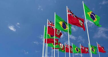 bermuda och Brasilien flaggor vinka tillsammans i de himmel, sömlös slinga i vind, Plats på vänster sida för design eller information, 3d tolkning video