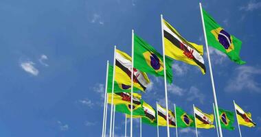 Brunei and Brazil Flags Waving Together in the Sky, Seamless Loop in Wind, Space on Left Side for Design or Information, 3D Rendering video