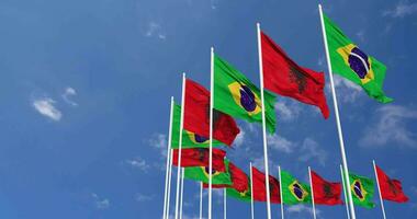 Albania and Brazil Flags Waving Together in the Sky, Seamless Loop in Wind, Space on Left Side for Design or Information, 3D Rendering video