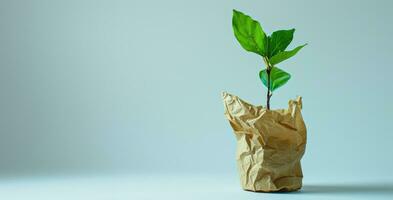 AI generated Generative AI, plant sprout with green leaves growing from recycled paper. Eco, zero waste, plastic free and environment concept photo