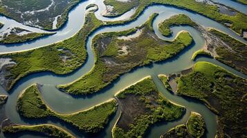 ai generado generativo ai, aéreo ver de laberinto vías fluviales, zumbido foto, hermosa paisaje foto