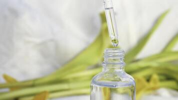 Vial with essential oil and yellow soft petals isolated on a white textile background. Concept. Girl hand touching cosmetic package surrounded by tulip leaves. photo