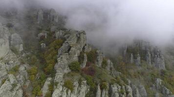 parte superior ver en alivio de rocas otoño en niebla. disparo. ver de rock formaciones de montaña con de colores seco césped y arbustos en niebla antecedentes foto