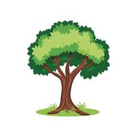 árbol con raíces vector ilustración