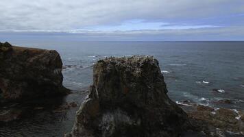 Top view of seagulls on rocky seashore. Clip. Cinematic landscape of rocky seashore with seagulls. Rocks and ledges on seashore with seagulls on background of cloudy horizon photo