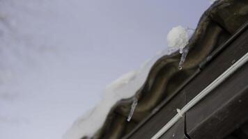 Icicles hang from a roof and melt with drops of water falling down. Action. Concept of coming spring. photo
