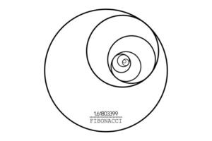 fibonacci secuencia círculo. dorado relación. geométrico formas espiral. círculos en dorado proporción en minimalista línea Arte diseño. vector circular logo icono aislado en blanco antecedentes