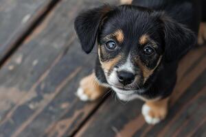 ai generado fotografía de un linda perro, nacional perrito día concepto foto