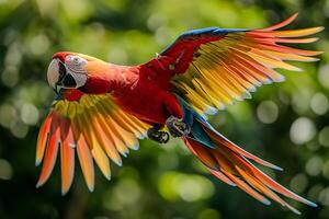 AI generated Macaw parrot in flight photo