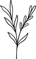 Leaf Line Art vector