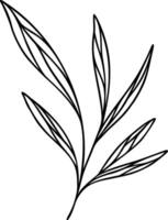 Leaf Line Art Branch vector