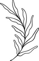 Leaf Line Art vector