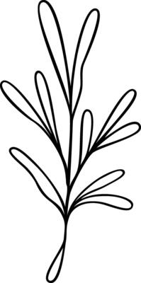 Leaf Line Art
