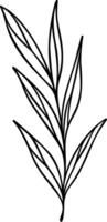 Leaf Line Art vector